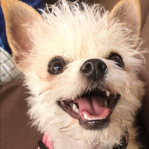 Meet your Posher, Allison